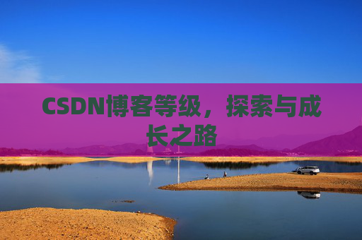 CSDN博客等级，探索与成长之路